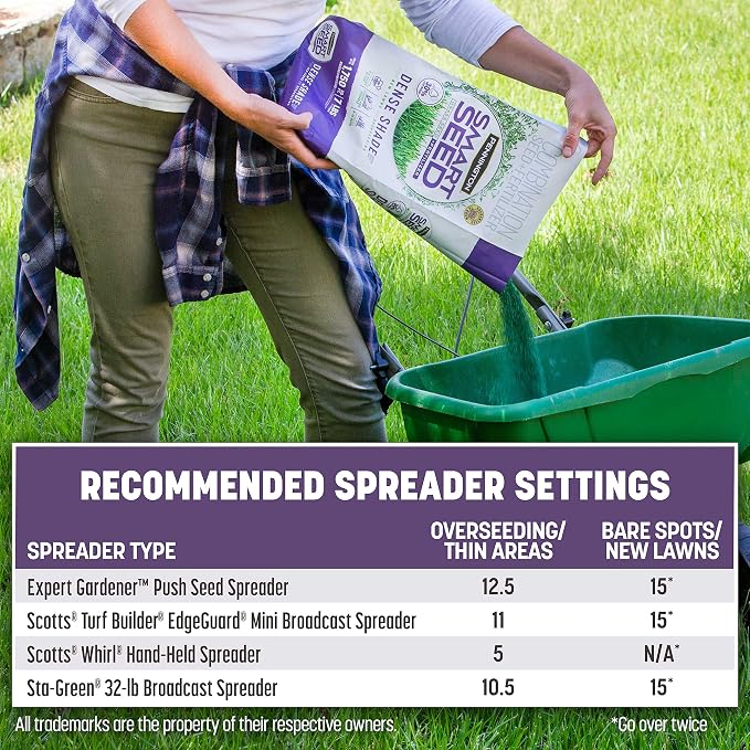 Pennington Smart Seed Dense Shade Mix, Grass Seeds for Lawn, 4/7 lb