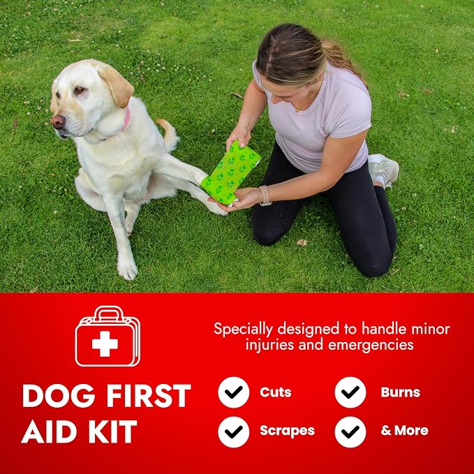 Cat & Dog First Aid Kit - Dog Emergency Kit, Health Supplies & Wound Care -with Thermometer, Bandages for Wounds - Essentials, Travel Bag (Medium)