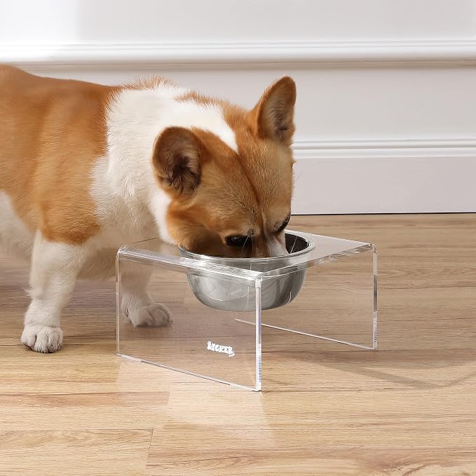 DBL2002A Keaton 5" Small/Medium Modern Acrylic Rectangular Elevated Pet Feeder with 20oz 1-Stainless Steel Bowl, Clear/Chrome