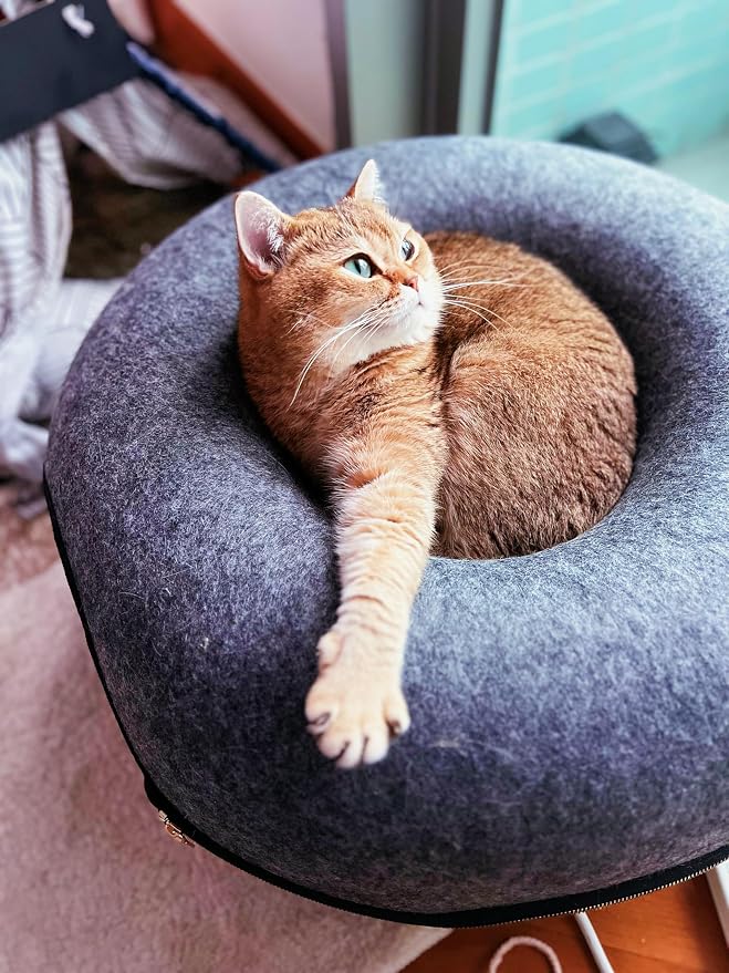 Fat Cat Backpack Carrier with Space Capsule Bubble & Travel Cat Tunnel Bed Cave – Airline Approved Pet Carrier & Cozy Donut Bed for Cats up to 25 lbs