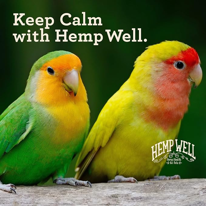 Hemp Well Calm Bird Oil, Organic Hemp, Stress, Hormones & Plucking Support