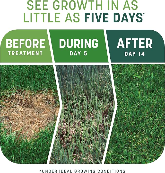 Pennington Smart Patch Tall Fescue Grass Seed, Tall Fescue 10lb