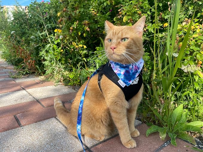 Travel Cat Grey Navigator Carrier Bag with Groovy Bandana Collar - Premium Cat Backpack and Stylish Collar for Travel and Outdoor Use