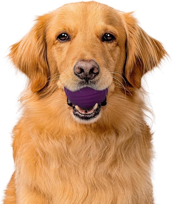 Playology Dog Toys | Dual Layer Ball Durable Chew Toy for Tough Chewers | Bacon Scented Jumbo Dog Toy | Chew Toys for Large Dogs