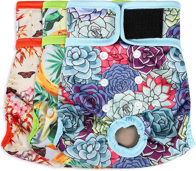 Washable Female Dog Diapers - Premium Reusable Diapers for Doggie in Heat - Highly Absorbent Dog Diapers Female for Pet Incontinence with Adjustable Snaps (Succulents, XL)