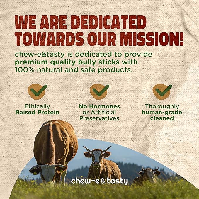 chew-e&tasty 12" Thick Bully Sticks for Dogs (Pack of 10) - Thick Chews for Dogs, Fully Digestible Beef Treats, Supports Dental Health, Long Lasting Beef Chews