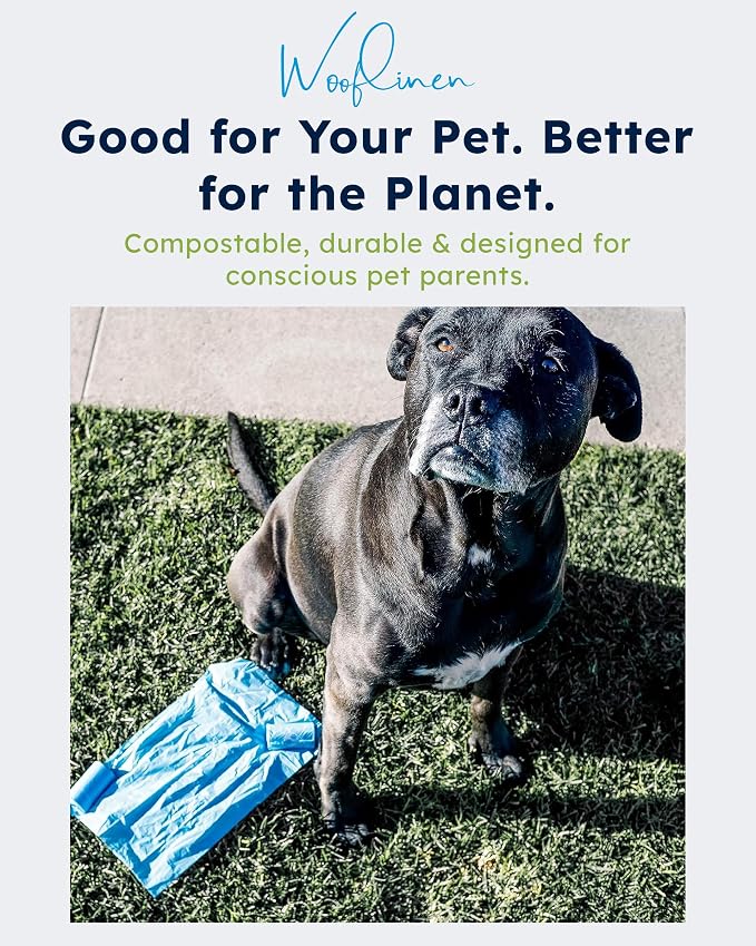 Wooflinen Home Compostable Dog Poop Bags – Leak-Proof Dog Poop Bags Rolls – Large 9x13”, Durable, Easy Tear – Made from Plant & PBAT Materials – For Big & Small Dogs – 240 Bags (16 Rolls)