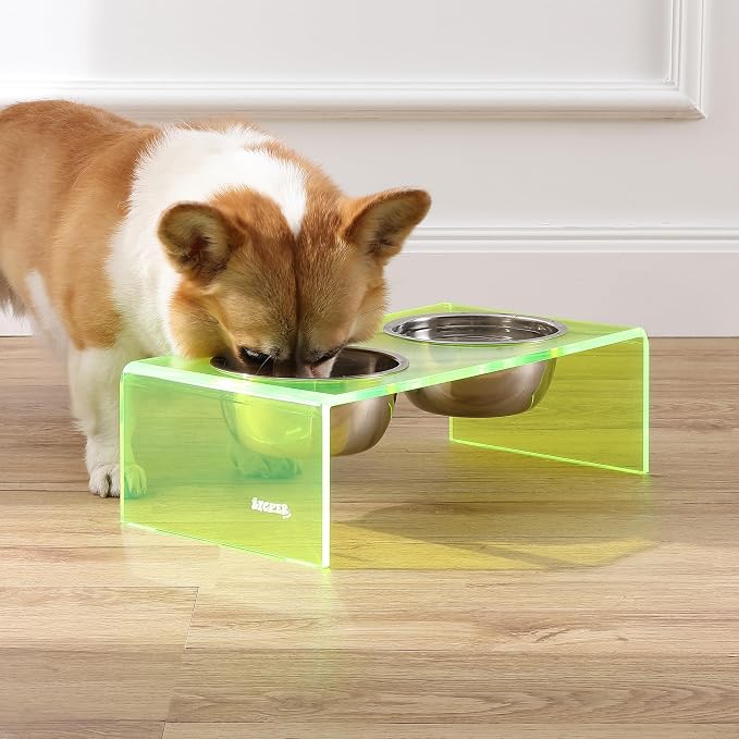 DBL2000G Keaton 5" Small/Medium Modern Acrylic Rectangular Elevated Pet Feeder with 20oz 2-Stainless Steel Bowls, Green/Chrome