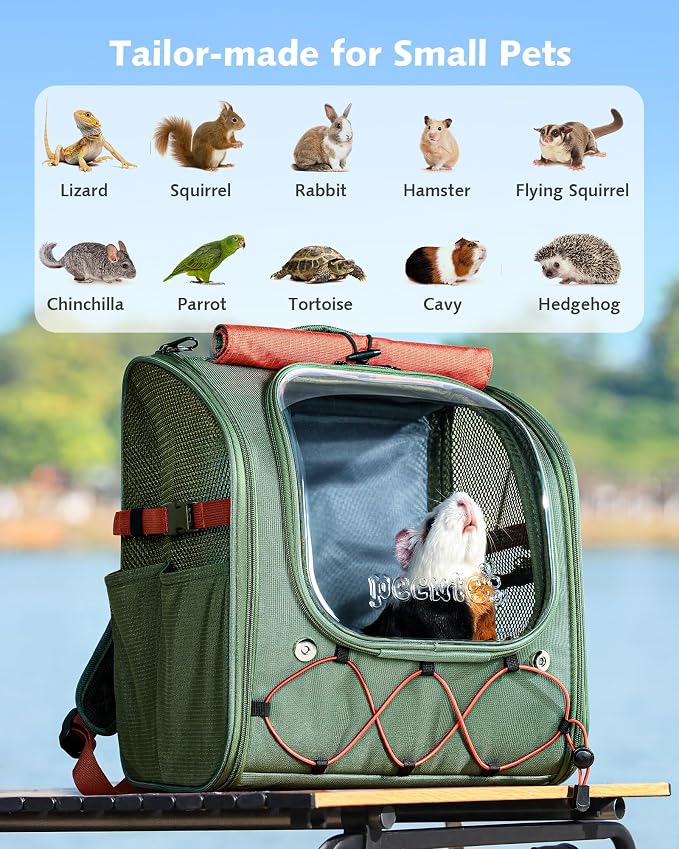 Pecute Small Pet Carrier, Breathable Bearded Dragon Carrier, with Transparent Bubble & Steel Frame, Safety Lock for Hamster, Rabbit, Guinea Pig, Kitten, Puppy, Ideal for Travel/Vet Visits/Camp, Green