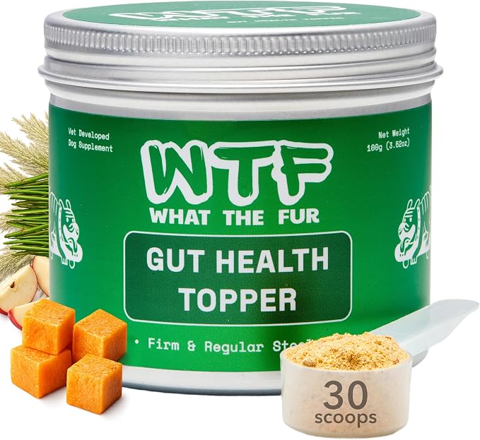 Gut Health Topper for Dogs – Digestive Support Powder with Real Beef, Pumpkin, Apple Fiber & Prebiotic Fiber | Helps Support Firm Stools, Sensitive Stomachs & Healthy Digestion | 100g