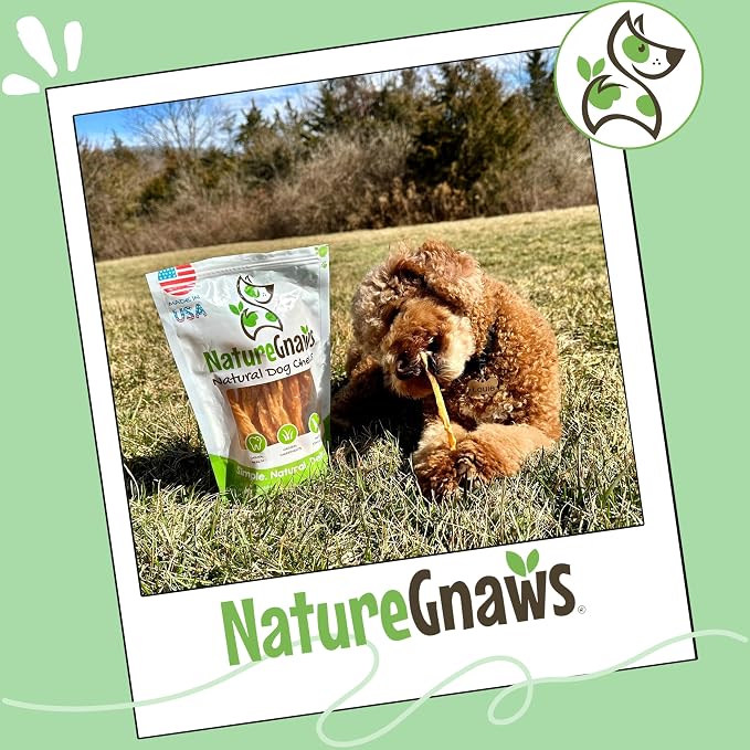 Nature Gnaws USA Turkey Tendons for Dogs (1Lb) - Delicious Grain Free Reward Snack for Small, Medium & Large Breeds - Premium Natural Dog Chew Treats