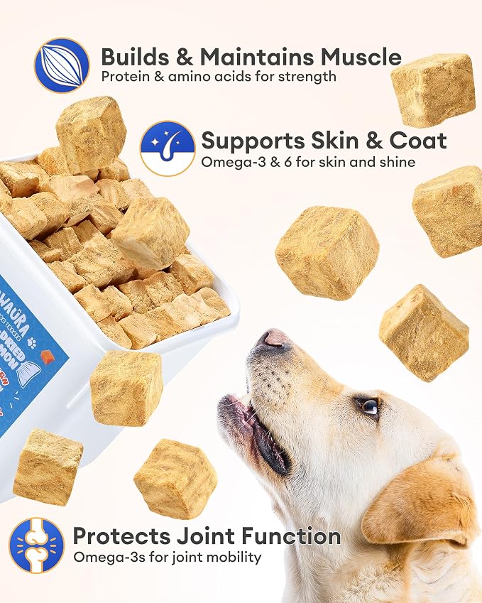 Freeze Dried Salmon Dog Treats-100% Wild-Caught Single Ingredient, Whole-Cut Large Pieces–Grain-Free, High Protein Low Calorie, Omega-3 for Skin & Coat, Training Treats for All Dogs(11oz)