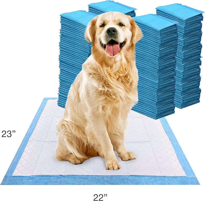 Four Paws Wee-Wee Superior Performance Unscented Puppy Pee Pads for Dogs & Puppies, Quilted Leak-Proof Dog Housebreaking Potty Training Floor Protection, Pet Supplies, 22" x 23", 200 Count