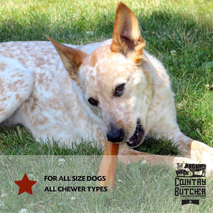 THE COUNTRY BUTCHER Pork Roll Dog Chews for Large Breed Dogs, Natural, Dental Treat, Made in the USA, 10 Count - Rawhide Free, No Bones