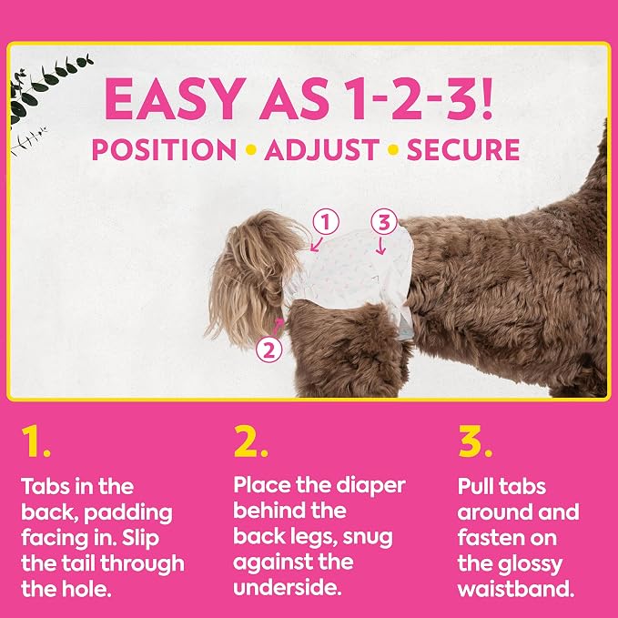 Out! PetCare Disposable Dog Diapers Female, Potty Training, Dog Diapers, Female Doggie in Heat, Puppy Training, Incontinence, Puppy Essentials, Adjustable Fasteners, 18”- 25” Waist (M/L, 96ct)