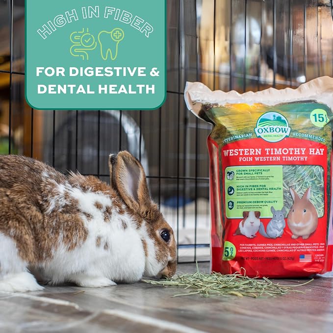 Oxbow Timothy Hay, Rabbit & Guinea Pig Hay, High Fiber for Digestive Health, Grown in The USA, Veterinarian Recommended Small Pet Supplies, Bulk Food for Rabbits, Guinea Pigs, & Chinchillas, 20 lbs