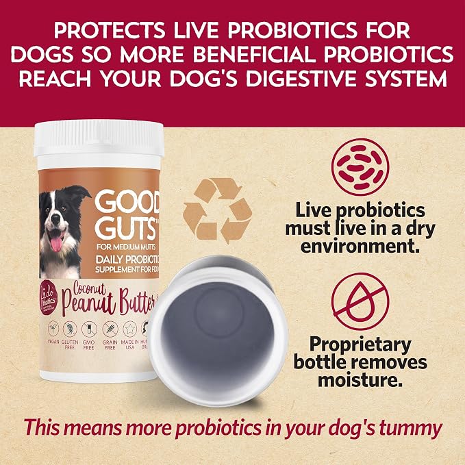 Fidobiotics Good Guts Probiotics for Dogs – Dog Probiotic Powder for Digestive Health, Gas Relief & Firmer Stools, 6B CFUs, Enzymes & Prebiotics, Medium Dogs, Puppies & Adults, Pack of 2