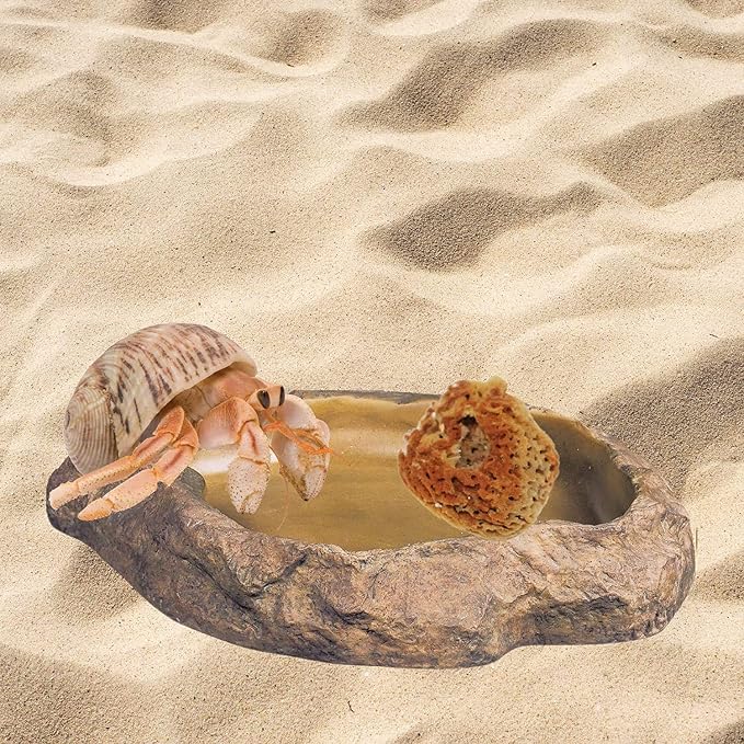 Needzo Hermit Crab Natural Sponge for Water Dish, Drinking and Tank Humidity, Size May Vary, Pack of 25