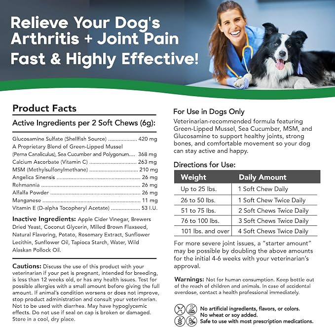 VetSmart Formulas Critical Joint Relief Soft Chew for Dogs – Hip & Joint Supplement with Glucosamine, MSM, Green-Lipped Mussel – Joint Discomfort, Hip Dysplasia & Mobility Support, Made in USA