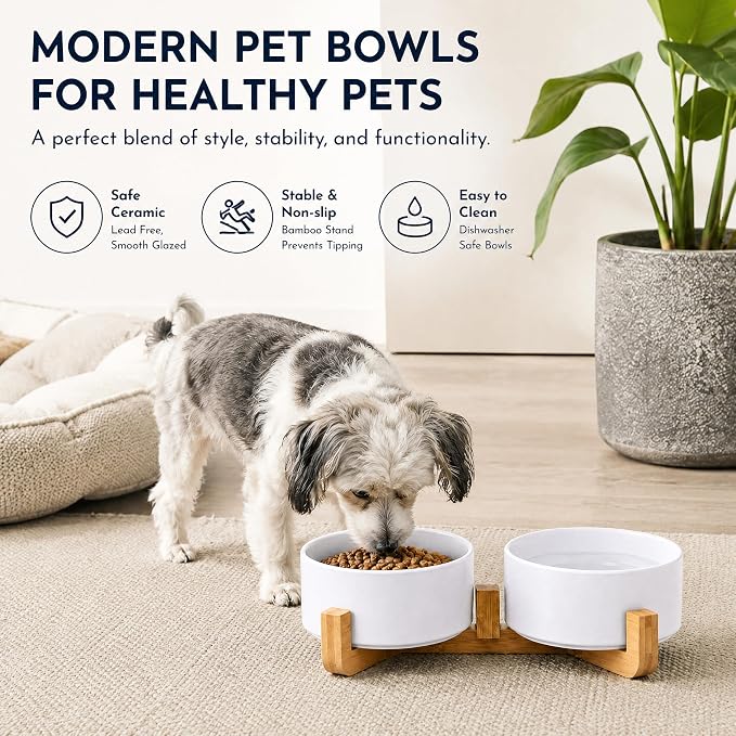 Petygooing Dog Bowls,White Ceramic Cat Dog Bowl Set with Wood Stand for Food and Water Feeder, Modern Pet Dish Set for Cats and Small Size Dogs Puppy (13.5OZ/5.1 in)