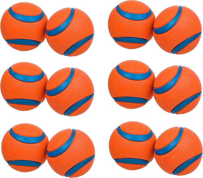 Chuckit! Medium Dog Toy Ball (6 Pack, 12 Balls Total, 2.5-Inch, Orange, Water Resistant, Medium Breeds)