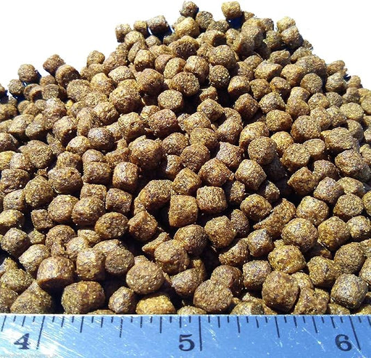 5.5mm - 7/32" 45% Protein Premium Floating Cichlid Pellets, Premium Pellets for All Tropical Fish, Koi and Pond Fish - 2 lbs