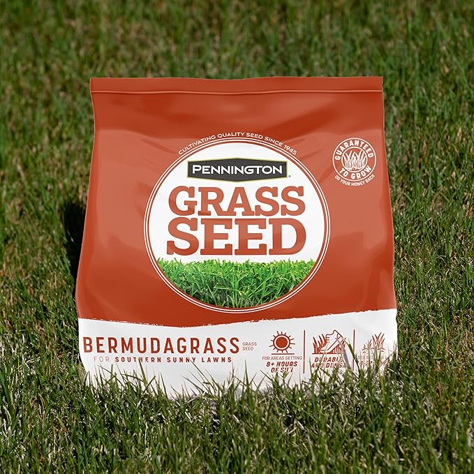 Pennington Bermudagrass Grass Seeds for Lawn, 15 lb