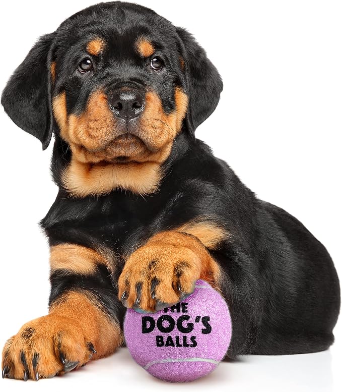 The Little Dog’s Balls Small Dog Tennis Balls 6-Pack Lilac Floats in Water | Our fetch balls combine non-abrasive felt exterior and a thicker rubber core Durable Dog Toy for Outdoor Play & Training