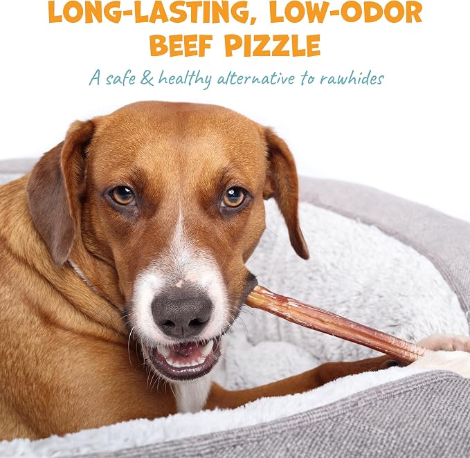 Pack Approved Standard Beef Bully Sticks for Large Dogs - Long Lasting Dog Chews for Aggressive Chewers - No Hide Dog Chews for Large Dogs - 12" (8ct)