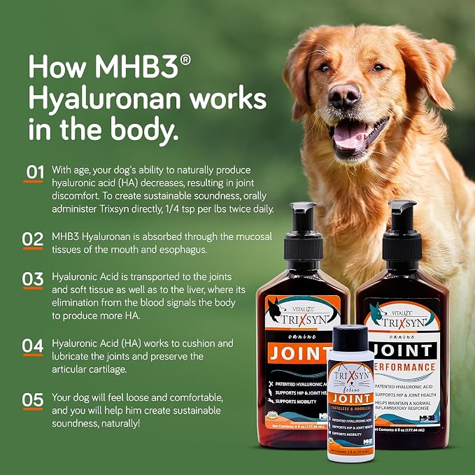 Trixsyn - Canine Hip and Joint Supplement for Dogs, 6 fl oz - Hyaluronic Acid Liquid HA for Senior Dogs to Support Mobility, Healthy Cartilage & Joint Function - Patented MHB3 Formula