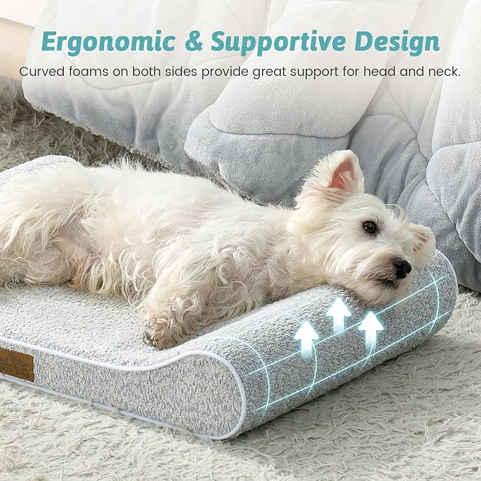COZY KISS Orthopedic Dog Bed for Small Dogs up to 35 lbs - Removable Cover with Waterproof Lining & Non-Skid Bottom, Cotton-Polyester Blend Boat-Shaped Lounger Mattress, S(30x20x5in), Light Gray