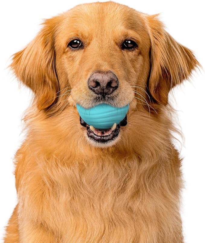 Playology Dog Toys | Dual Layer Ball Durable Chew Toy for Tough Chewers | Peanut Butter Scented Jumbo Dog Toy | Chew Toys for Large Dogs