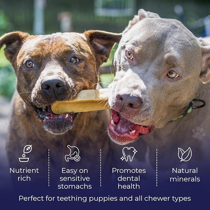 Devil Dog Pet Co. Himalayan Yak Cheese Dog Chews for Medium to Large Breeds & Aggressive Chewers - Long Lasting, Rawhide Free, High Protein - Cleaner Teeth, Anxiety & Boredom Relief - XL
