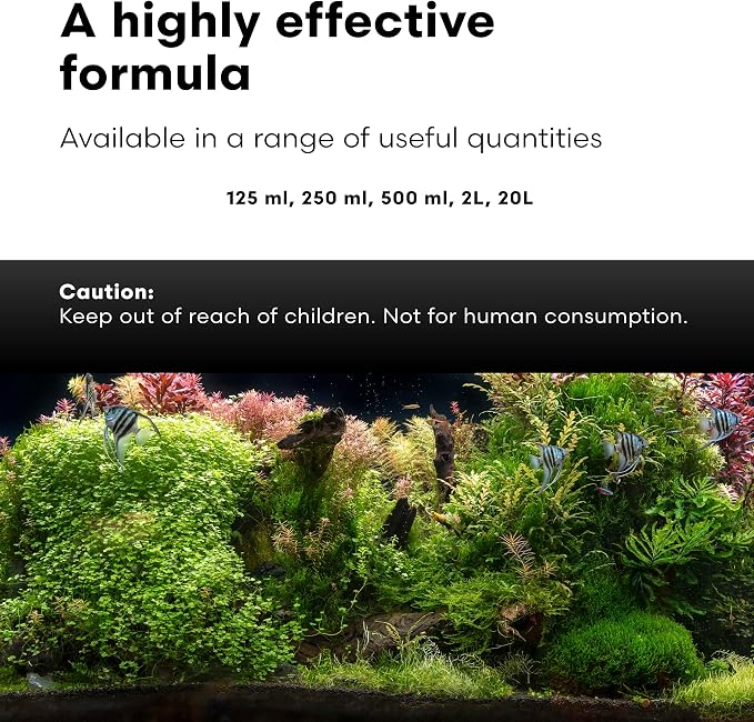 Brightwell Aquatics Florin-Fe Iron Supplement for Planted Aquariums – Dual-Action Iron Source for Plant Growth, Chlorophyll & Vibrant Foliage – Daily Dosing, 250 ml