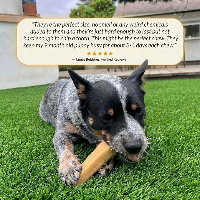 Yak Cheese Himalayan Dog Chews – Long-Lasting Natural Chews for Aggressive Chewers – 2-Ingredient, High Protein, Odorless, Dental Health Treats for Dogs (Large, 4 Pack)