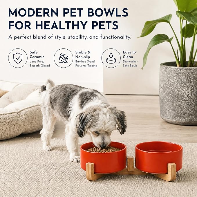 Petygooing Dog Bowls,Ceramic Cat Dog Bowl Set with Wood Stand for Food and Water,Non-Slip Cute Modern Pet Dish for Cats Small Size Dogs Puppy (13.5OZ/5.1 in) Rust Red