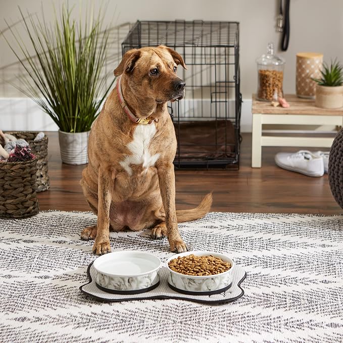 Bone Dry Pet Bowl Collection Ceramic Set, Large, Marble, 2 Count, White
