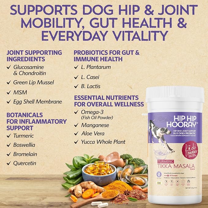 Fidobiotics Hip & Joint Support for Dogs with Probiotics – Glucosamine, Chondroitin, MSM & Green Lipped Mussel – Dog Joint Supplement Powder Food Topper for Mobility & Digestion (20 Servings)
