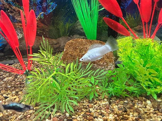 EcoBio-Block Natural Volcanic Rock for Aquarium Water Clarity & Balance — Low-Maintenance Alternative to Weekly Additives — for Freshwater Fish, Turtles, Shrimp & Frogs (Small, 8-16 gal)