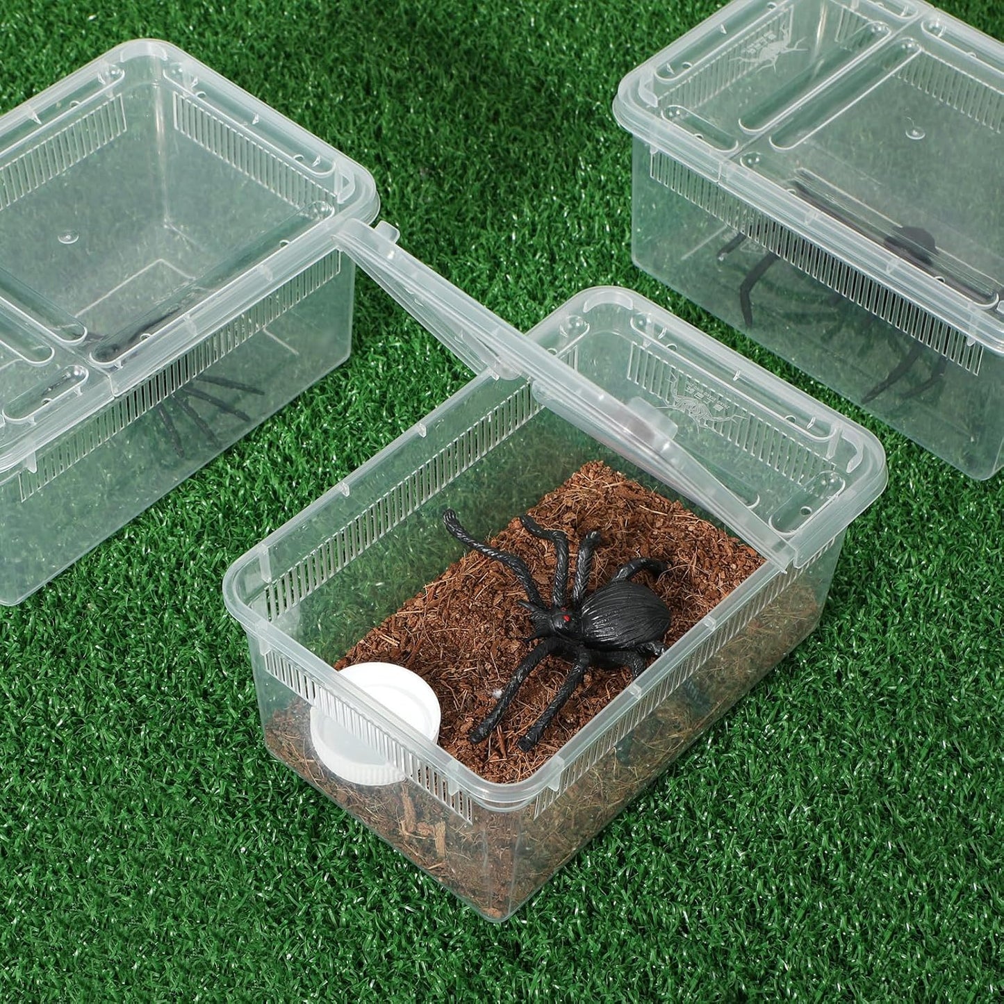 Irenare 8 Pcs Reptile Breeding Breeding Box Plastic Spider Terrarium Tarantula Feeding Box for Bearded Dragon Lizard Spider Gecko Scorpion (Vent Strips,5.9 x 3.9 x 2.5 Inch)