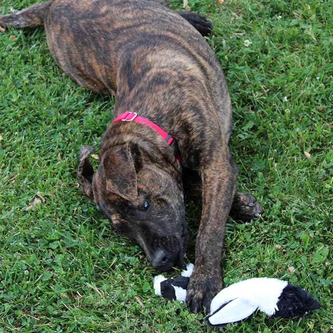 SPOT Skinneeez Stuffing Free Arctic Animal Dog Toy - with Squeaker in Head and Tail, Stuffingless Design is Great for Moderate Chewers, Tug Toy for Small Puppies & Dogs - 15in, Assorted Styles, 1 Toy