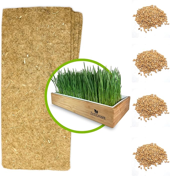 Self-Watering Cat Grass Kit and Cat Grass Refills - 4 Mats and 4 Cat Grass Seed Packets (Cat Grass Refill Kit)