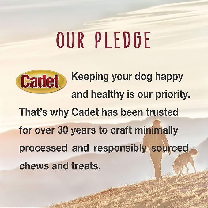 Cadet Gourmet Duck Jerky Dog Treats For Training - Healthy & Natural Dog Training Treats for Small & Large Breeds - Inspected & Tested in USA (3 oz.)