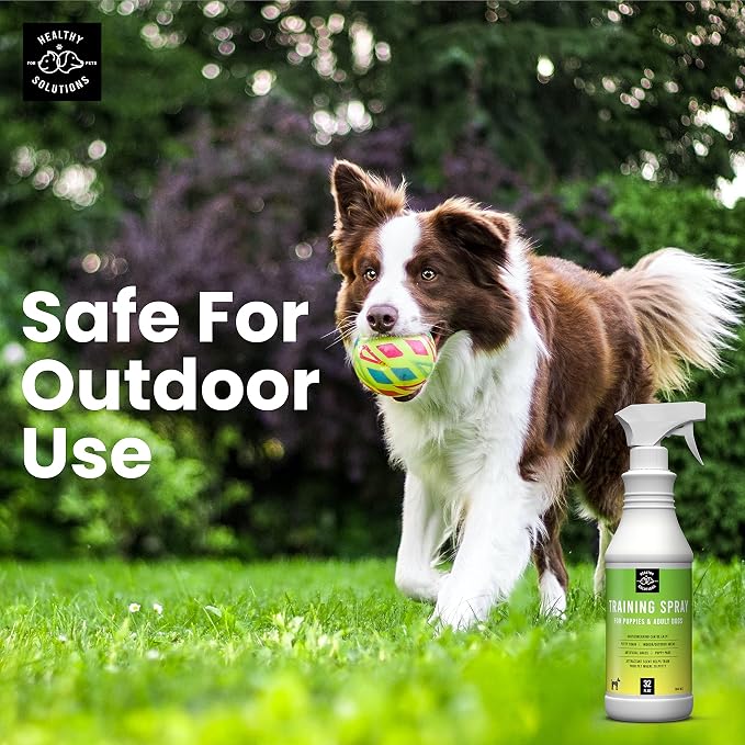 Potty Training Spray for Dogs - Dog Pee Spray with Marking Scent - Go Here Puppy Pee Prevention Spray - Formulated for Indoor & Outdoor Use - Made in USA, 32 Oz Spray Bottle