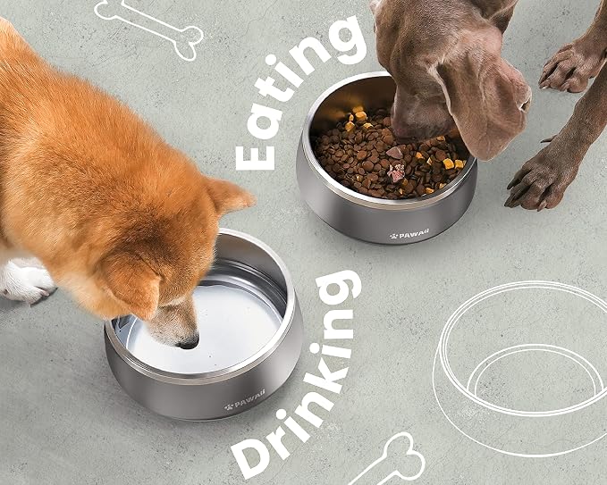 Pawaii Dog Bowl, 34 oz Double-Wall Stainless Steel Food and Water Bowl, Non-Slip Rubber Base, Dishwasher Safe, ID Tag Included, (1 Pack)