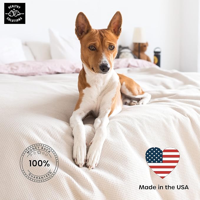 Potty Training Spray for Dogs - Dog Pee Spray with Marking Scent - Go Here Puppy Pee Prevention Spray - Formulated for Indoor & Outdoor Use - Made in USA, 32 Oz Spray Bottle