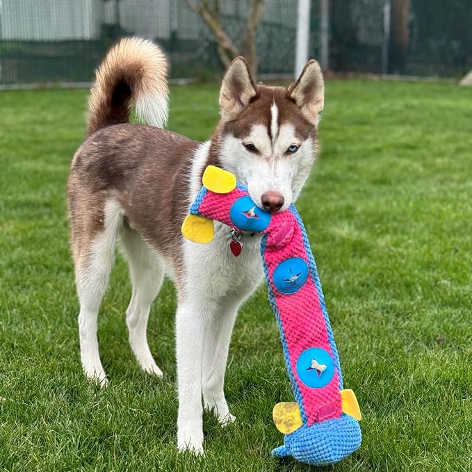 SPOT Snuffle Roll Puzzle Toy, Interactive Feeding Toy for Dogs, Mental Stimulation, 3 Treat Pockets, Crinkle & 2 Squeakers, 25 Inch, Assorted Styles