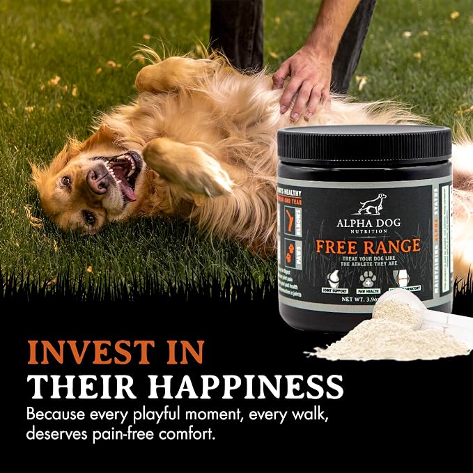 Active K9 Bundle: Free Range Joint Support + Resurgence Electrolytes