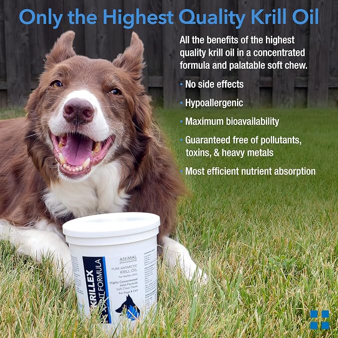 Animal Pharmaceuticals Krillex Joint Formula & Omega 3 Krill Oil for Dogs & Cats - Glucosamine for Dogs - Chondroitin, MSM, & Hyaluronic Acid for Joint Care - Cheese Flavor Chews - 60 ct, 1lb, 450g