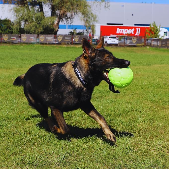 DINGO GEAR WWW.DINGOGEAR.COM 1977 Faux Leather Ball for Dog Training, as Reward for Fetch tug of war, for Strong Dog, Handmade, 7in Green S02699